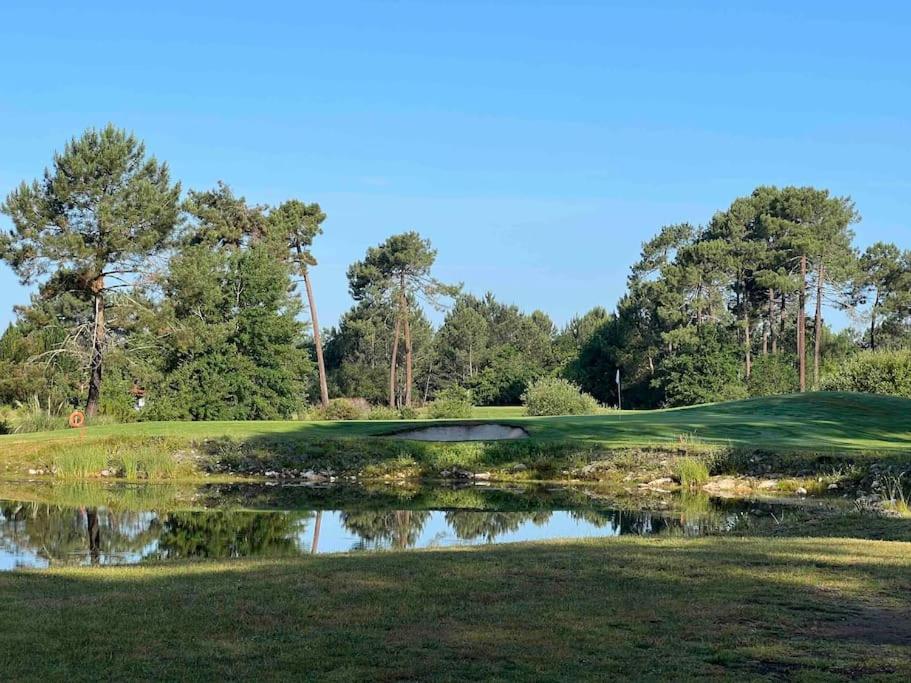 Agreable Maison Landaise Proche Du Lac Sanguinet Kültér fotó