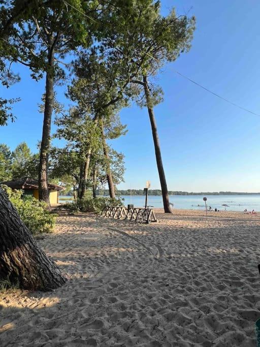 Agreable Maison Landaise Proche Du Lac Sanguinet Kültér fotó