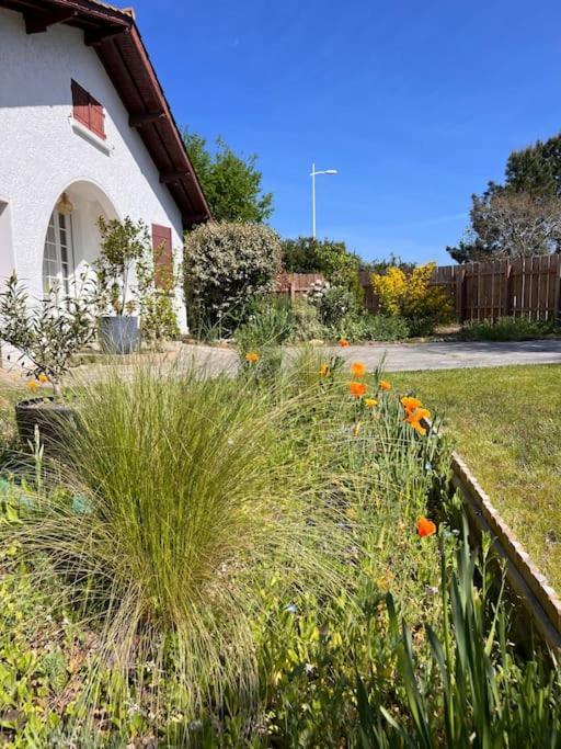 Agreable Maison Landaise Proche Du Lac Sanguinet Kültér fotó